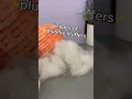 Which one are you