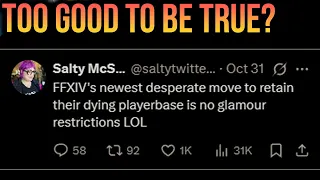 FFXIV No Glamour Restrictions PEOPLE MAD