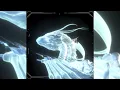 Zorza - Eleven Days