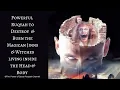 Download Lagu Powerful Ruqyah to Destroy \u0026 Burn the Magican Jinns \u0026 Witches living inside \u0026 Body like a Parasites