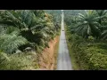 Download Lagu SP 1 Tiumang, Kabupaten Dharmasraya - Sumbar