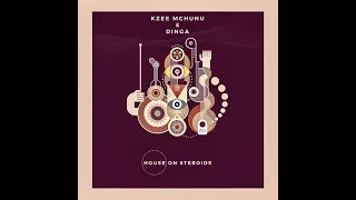 kzee mchunu u0026 dinga lavida loca official audio 