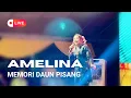 Download Lagu Amelina - Memori Daun Pisang (LIVE PERFORMANCE) | Pasir Salak