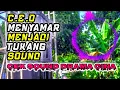 Lagu CEO MENYAMAR JADI TUKANG SOUND⁉️- DRAMA CINA CEK SOUND VIRAL‼️