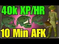 Why Dark Crabs Are The Best AFK Activity In OSRS Mobile Friendly