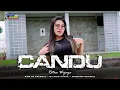 Download Lagu DJ CANDU - LAGU BANYUWANGI STYLE TRAP PARTY KARNAVAL NROTOK MIDLE BASS NGLIMIT ‼️ YANG LAGI VIRAL