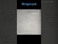 Nitrogen cycle best information about microorganism atmosphere for class 8th