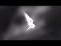 ‪PERLAS NEGRAS - Natanael Cano, Gabito Ballesteros ‬