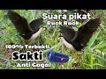 Download Lagu SUARA PIKAT BURUNG RUAK RUAK ANTI ZONK TERBUKTI AMPUH 