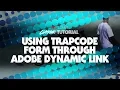 Classic Tutorial Using Trapcode Form Through Adobe Dynamic Link