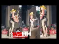 Country Singer Lainey Wilson Who Was Also On Yellowstone Going Viral For Having Cake