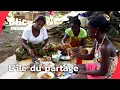 Lagu Madagascar – L’île où tout se partage I DOC ENTIER | SLICE PEUPLES