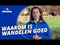 Waarom is wandelen gezond? | Obelink Vrijetijdsmarkt