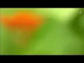 Download Lagu Ratih purwasih JANGAN TANGAN YANG BICARA