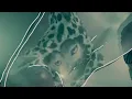 Galantis - True Feeling (Official Music Video)