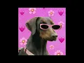ZOU BISOU (Techno Remix)