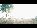Download Lagu Jagnyala pankh futale | जगन्याला पंख फ़ुटले |  Ajay \u0026 Sakshi Traditional Pre Wedding Video