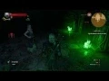 The Witcher 3 Magic Lamp Light the Braziers in the Correct Order