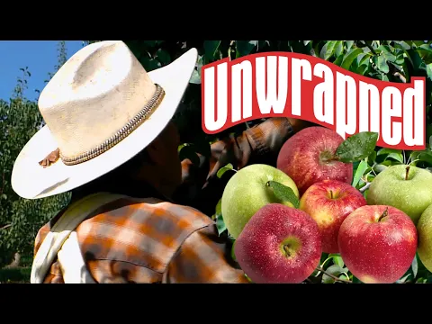 Apples, Pumpkins and Other Farmstand Favorites 🍎🚜 | Unwrapped | Food Network