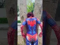 Download Lagu Red Spider-Man foolishly helps Spidergirl but ends up harming her #shorts #youtubeshorts