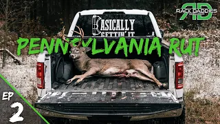 Two GIANT Pennsylvania Public Land Buck Encounters within 1 hour