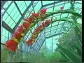عبدالله رويشد 1983-رحلتي