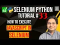 Selenium Python Tutorial - How to execute JavaScript in Selenium