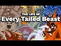 The Life Of Every Tailed Beast Naruto