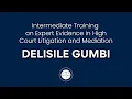 Download Lagu Participant Interview: Delisile Gumbi