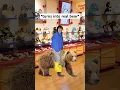When You Go To Build-A-Bear