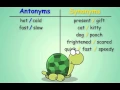 Antonyms and Synonyms