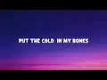 Mahmut Orhan & Sena Sener - Feel (Lyrics)