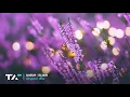 U4EUH - Elixir (Original Mix)