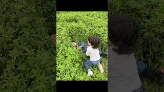 صاحبي يا صاحبي انت اللي لوحدك شبهي احمد مالك 