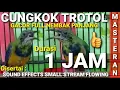 Download Lagu CUCAK CUNGKOK TROTOL GACOR FULL NEMBAK PANJANG - MASTERAN DURASI 1 JAM