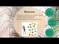 Condition Mapping
