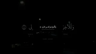 و الض حى و الل يل إ ذا س جى محمد صديق المنشاوي سورة الضحي 