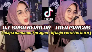 Download DJ SUSU BERACUN - PRAGOS TREN VIRAL FYP TIK TOK || VERSI TERBARU 2023 MP3