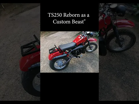 Suzuki TS250 Lives Again… But Not How You Expect! 🔥 #2strokerebuild #enginerebuild