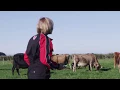 Download Lagu Lely Astronaut pasture based automatic milking - Invercargill, New Zealand