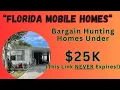 Hunting Cheap Florida Mobile Homes for Sale With LOW Lot Rents Four Star 23