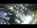 Flowride at the Park