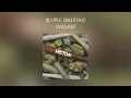 [INST] 빌스택스 (BILLSTAX) - WASABI