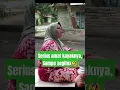 Download Lagu tukang gosip #shortfeed #youtubevideo #youtubeshort #jokes
