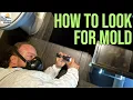 Download Lagu Early Stage Mould Inspection Tips from a Mold Inspector