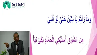 قصيدة في النفس حاجات   الشرح اللغوي   مقرر الأدب لطلاب الشهادة السودانية دندنها