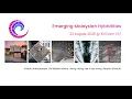 Download Lagu DigitalFUTURES Talk: New Hybridities - Malaysian