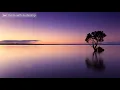 Decor - Passion (Do You Want It Right Now)