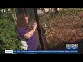 Houma residents going wild over rumors of possible tiger in the area