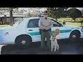 Car show raises money to build park in honor of ODNR officer who died during rescue